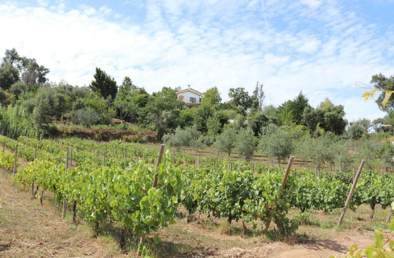 Villa Quinta De S. Luis - Valada Figueiro Dos Vinhos Exterior foto